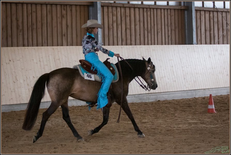 Thalmeier 2015 123